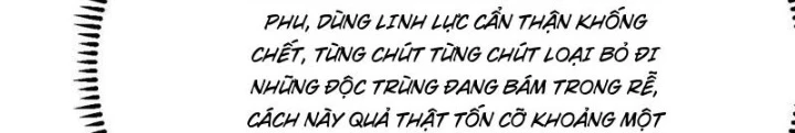 Tu Tiên Bắt Đầu Từ Trường Sinh Chapter 41 - Next Chapter 42