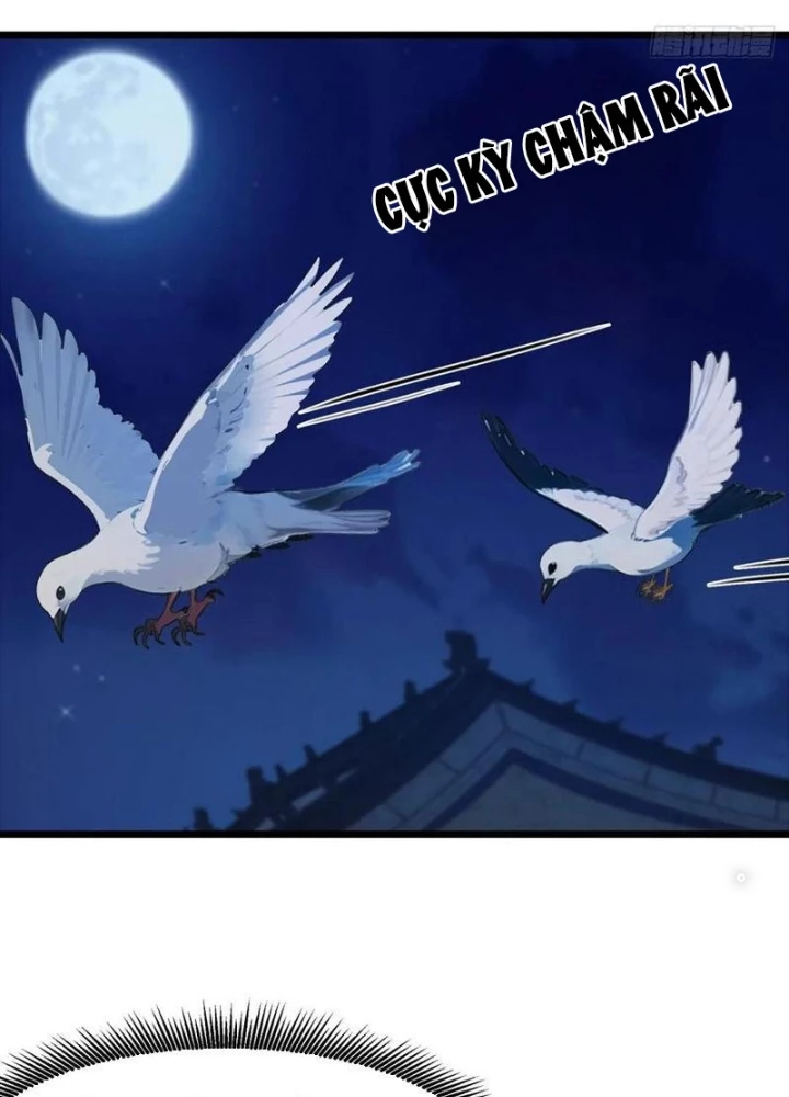 Thần Long Đi Trốn, Xui Xẻo Gặp Nữ Đế Đi Theo Giúp Ta Chăn Heo Chapter 49 - Next Chapter 50