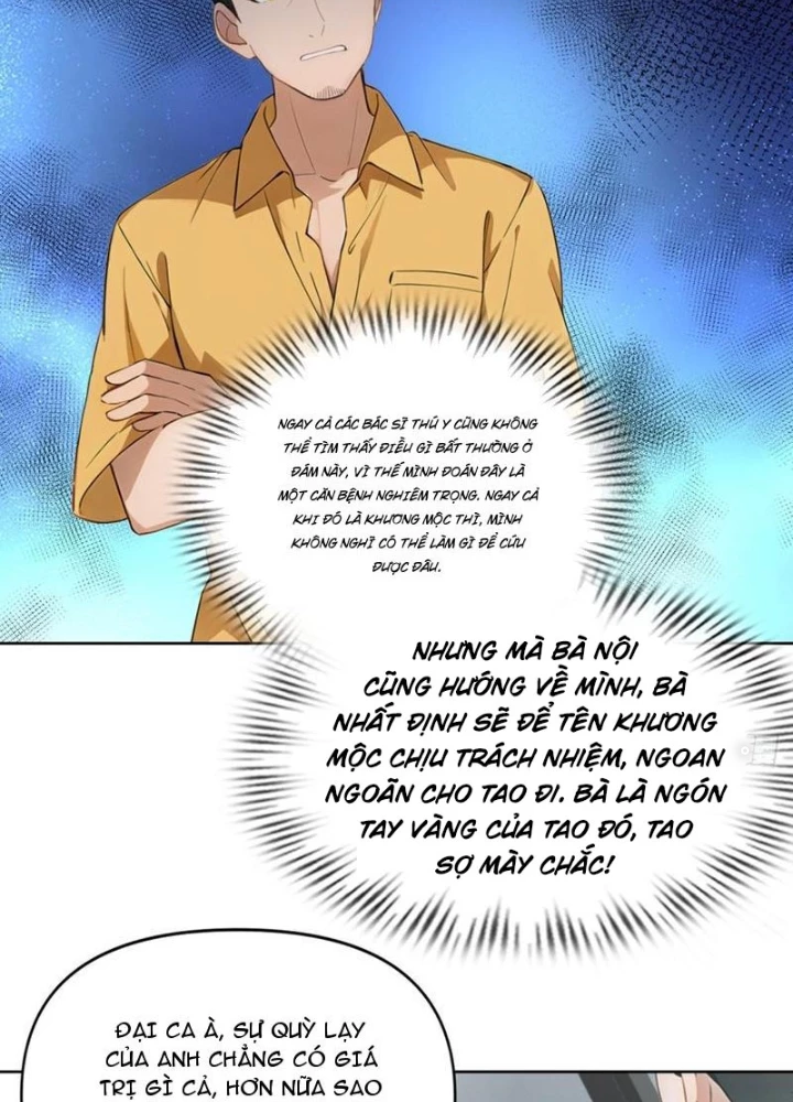 Thần Long Đi Trốn, Xui Xẻo Gặp Nữ Đế Đi Theo Giúp Ta Chăn Heo Chapter 61 - Next Chapter 62