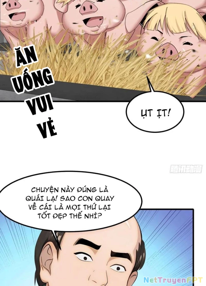 Thần Long Đi Trốn, Xui Xẻo Gặp Nữ Đế Đi Theo Giúp Ta Chăn Heo Chapter 65 - Next Chapter 66
