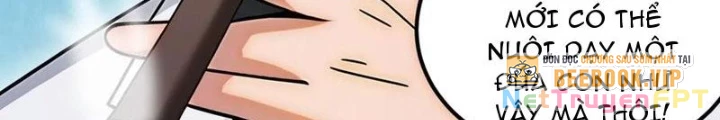 Thần Long Đi Trốn, Xui Xẻo Gặp Nữ Đế Đi Theo Giúp Ta Chăn Heo Chapter 103 - Next Chapter 104