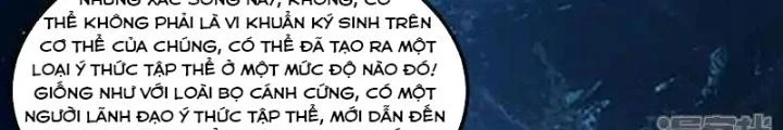 Chiến Hạm Của Ta Có Thể Thăng Cấp Chapter 120 - Trang 2