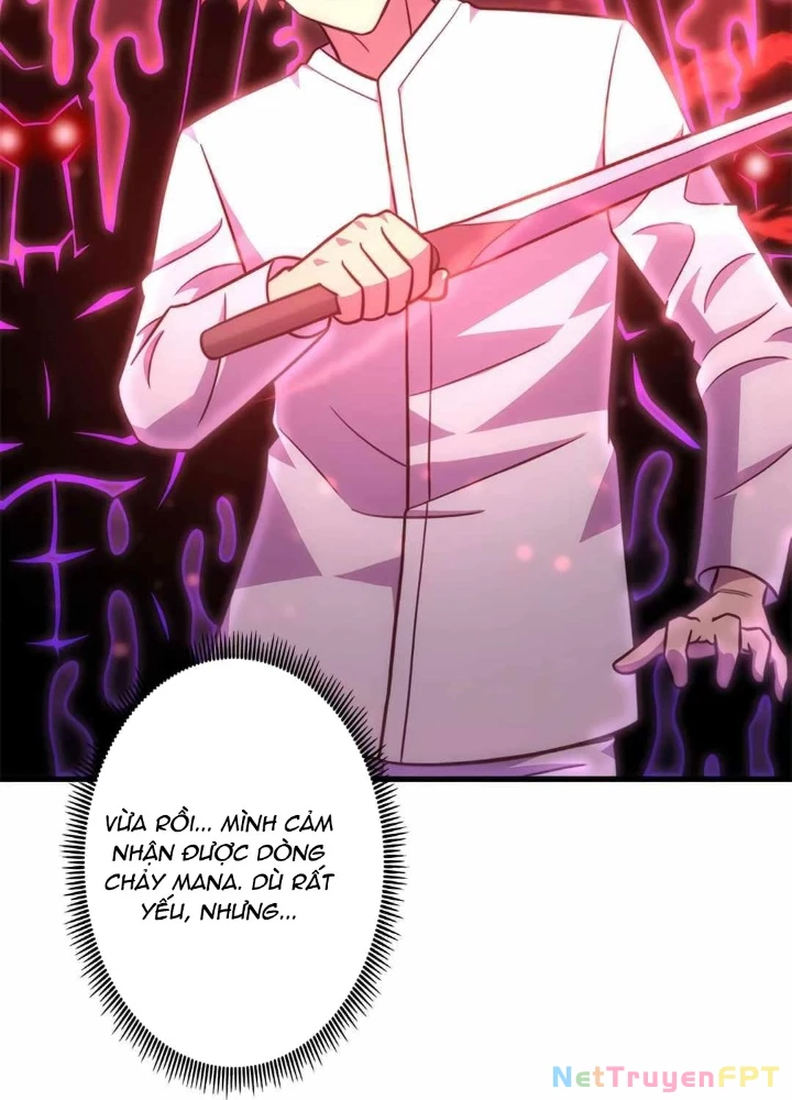 Lượng Mana Đáy Xã Hội! Ta Vô Địch Nhờ Kỹ Năng Của Mình Chapter 25 - Next Chapter 26