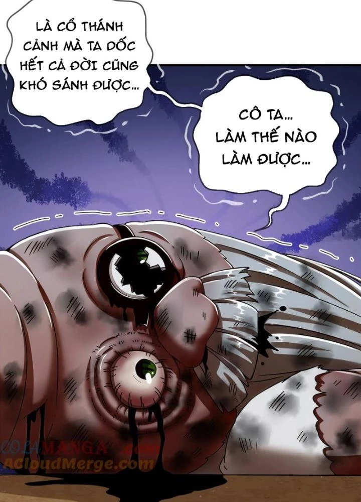 Tuyệt Sắc Đạo Lữ Đều Nói Ngô Hoàng Thể Chất Vô Địch Chapter 206 - Next Chapter 207