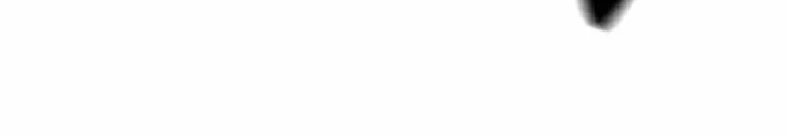 Quý Công Tử Chapter 18 - Next Chapter 19