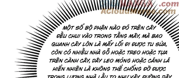 Tu Tiên Bắt Đầu Từ Trường Sinh Chapter 61 - Trang 2