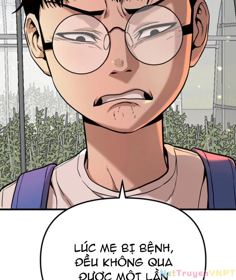 Hồ Sơ Phong Nhan Chapter 1 - Trang 2