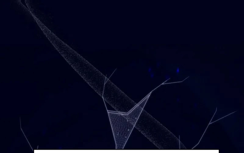 Hầm Ngục Mạnh Nhất Chapter 2 - Next Chapter 3