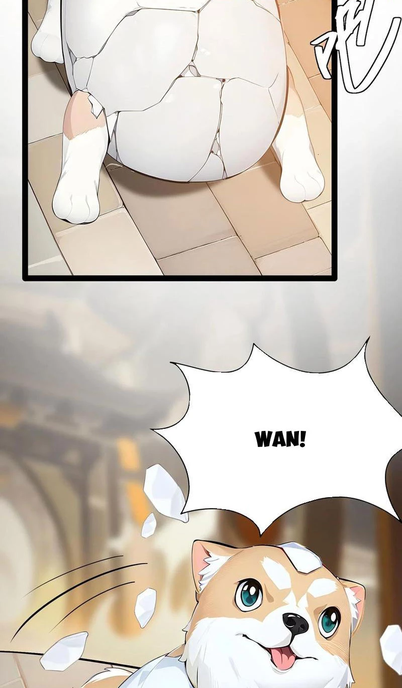 Ngươi Làm Bộ Tu Luyện Đi! Chapter 11 - Trang 3