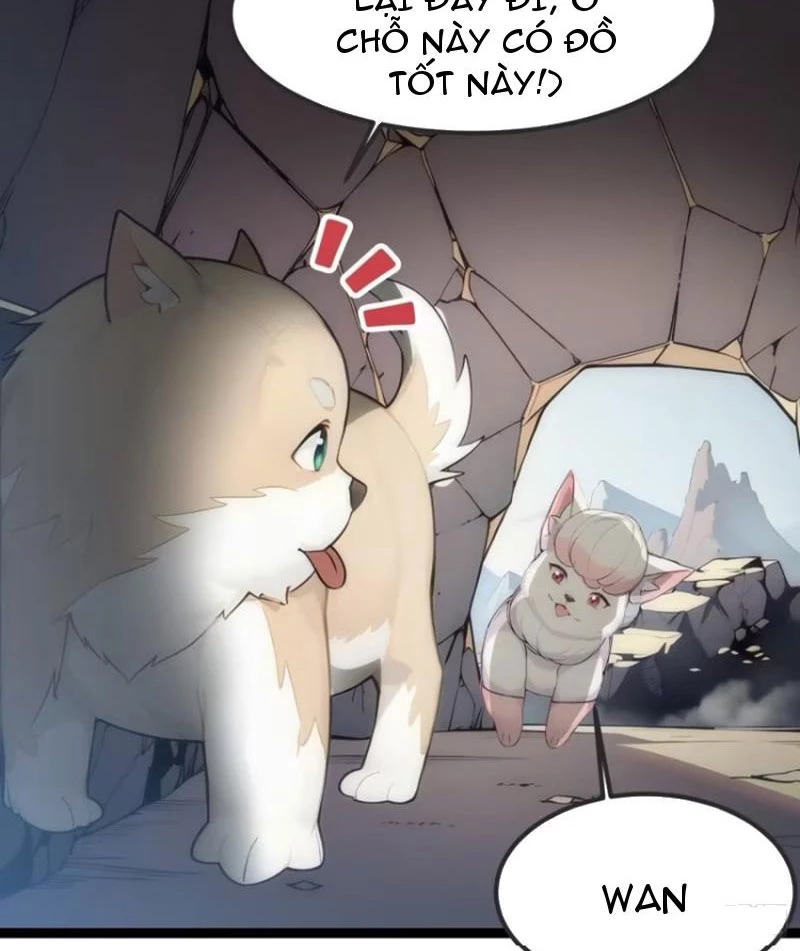 Ngươi Làm Bộ Tu Luyện Đi! Chapter 21 - Next Chapter 22