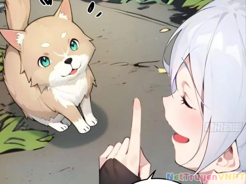 Ngươi Làm Bộ Tu Luyện Đi! Chapter 31 - Next Chapter 32