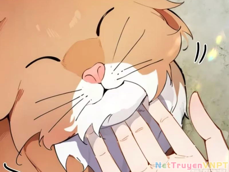 Ngươi Làm Bộ Tu Luyện Đi! Chapter 31 - Next Chapter 32