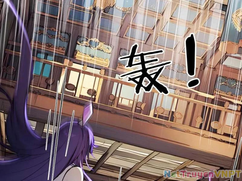 Ngươi Làm Bộ Tu Luyện Đi! Chapter 54 - Next Chapter 55