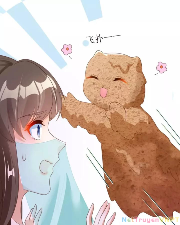 Tiên Y 3,5 Tuổi Đáng Yêu Chapter 43 - Next Chapter 44