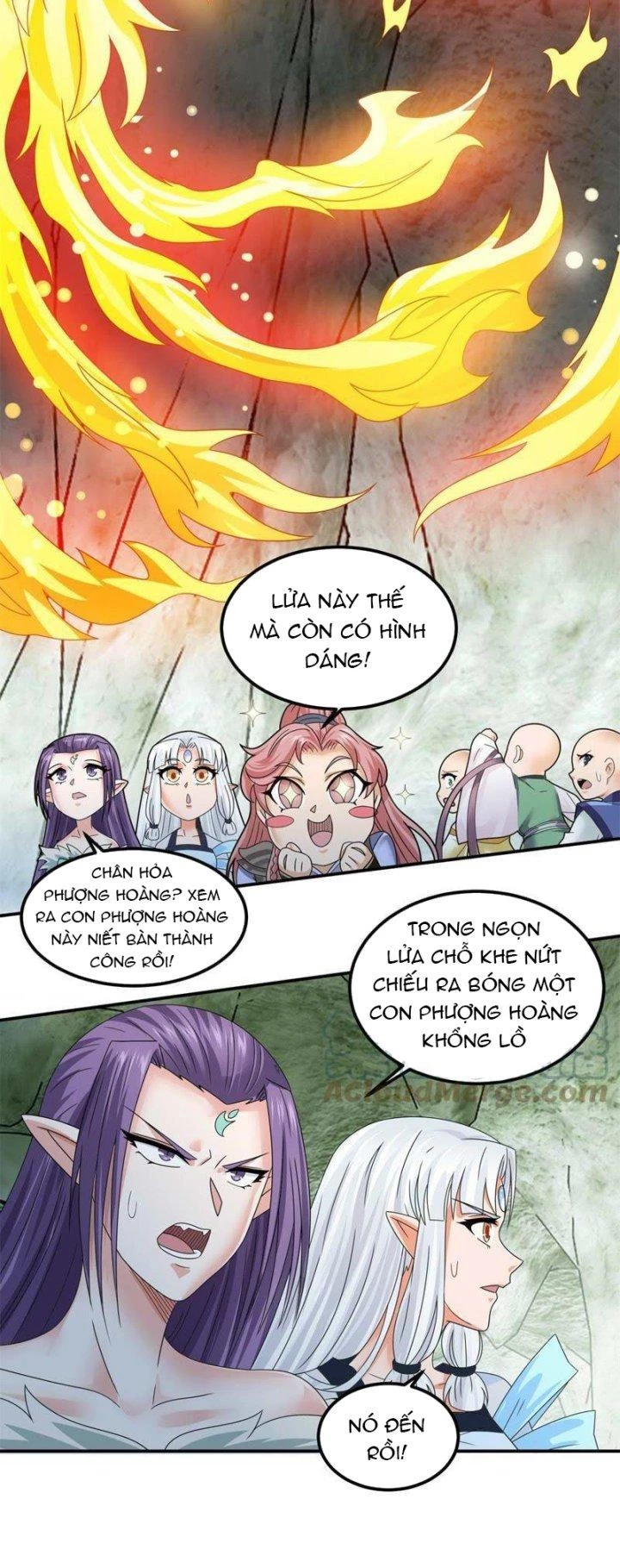 Tối Cường Quang Hoàn Hệ Thống Chapter 67 - Trang 3