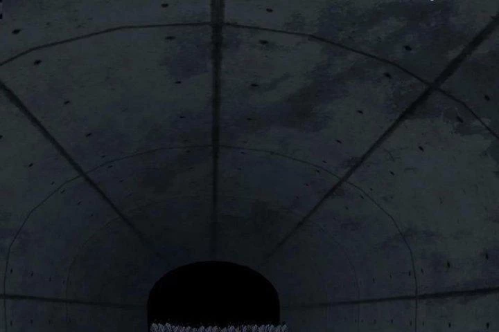 Giải Thoát 99 Nữ Chính Ở Mạt Thế Chapter 209 - Next Chapter 210