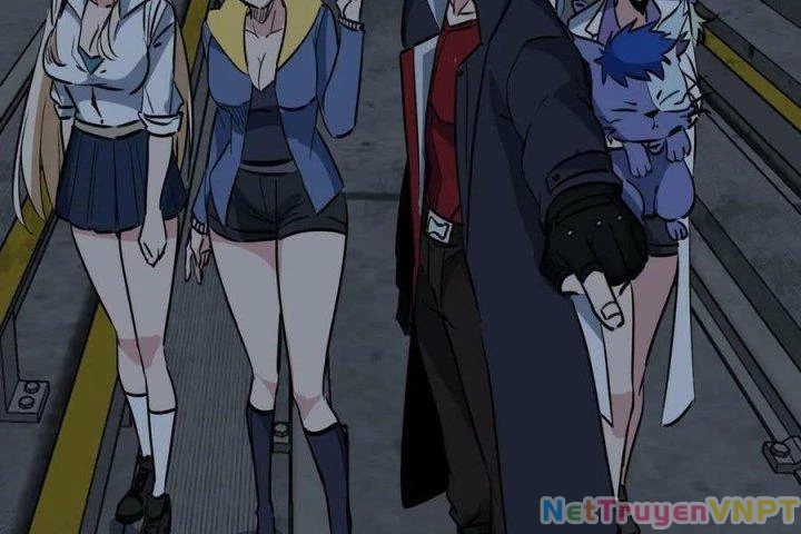 Giải Thoát 99 Nữ Chính Ở Mạt Thế Chapter 209 - Next Chapter 210