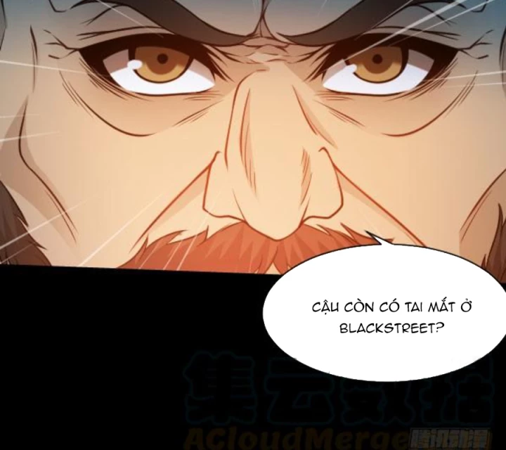 Vương Quốc Huyết Mạch Chapter 38 - Trang 3