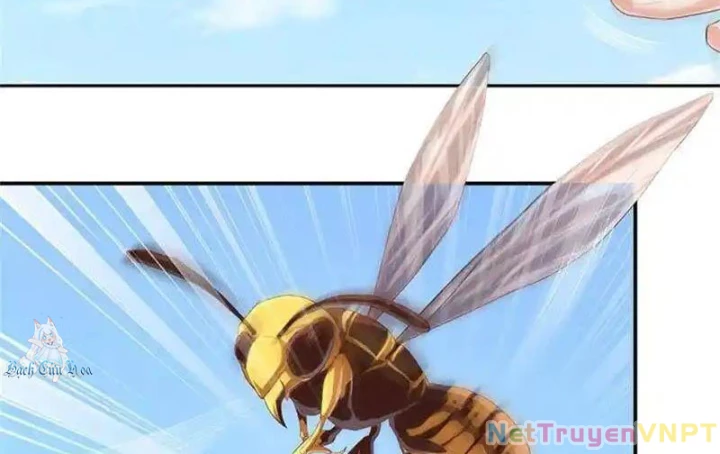Nữ Thần Trong Điện Thoại Chapter 104 - Trang 3