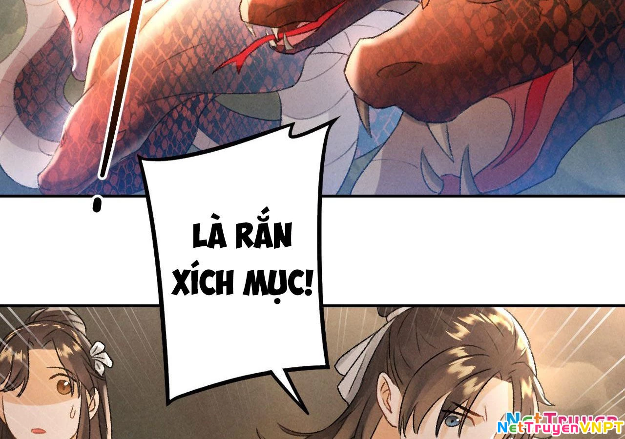 Huyền Đô Cố Mộng — Tiền Truyện Chưởng Môn Quá Bận Chapter 13 - Next Chapter 14