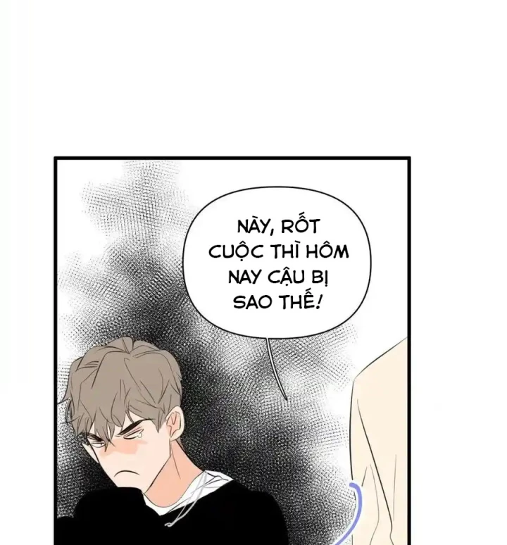 Hoàng Tử Bé Chapter 13.1 - Trang 2