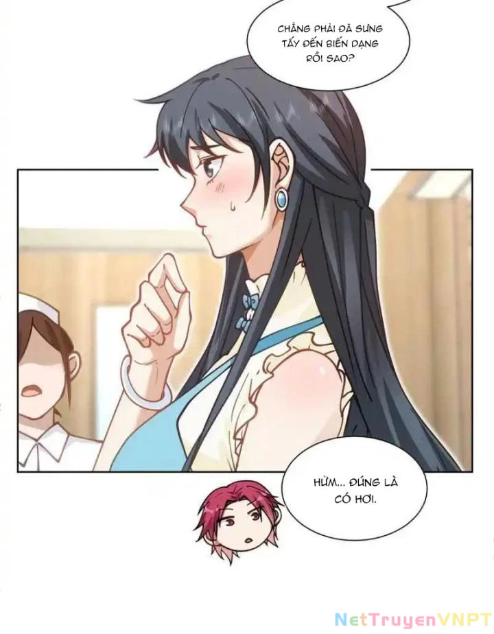 Livestream Phẫu Thuật Chapter 27 - Next Chapter 28