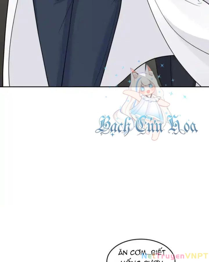 Livestream Phẫu Thuật Chapter 54 - Next Chapter 55