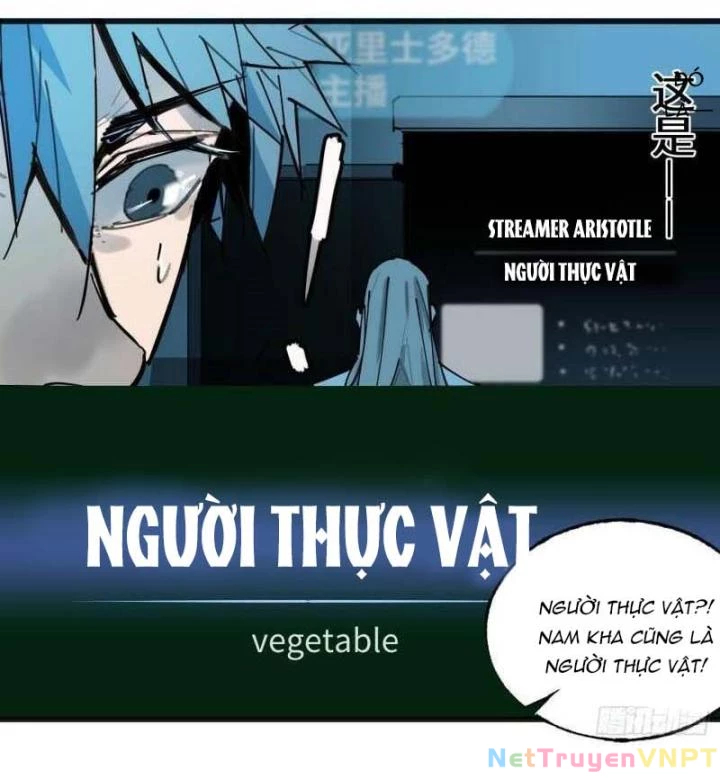 Ác Mộng Bắt Đầu Chapter 8 - Trang 2