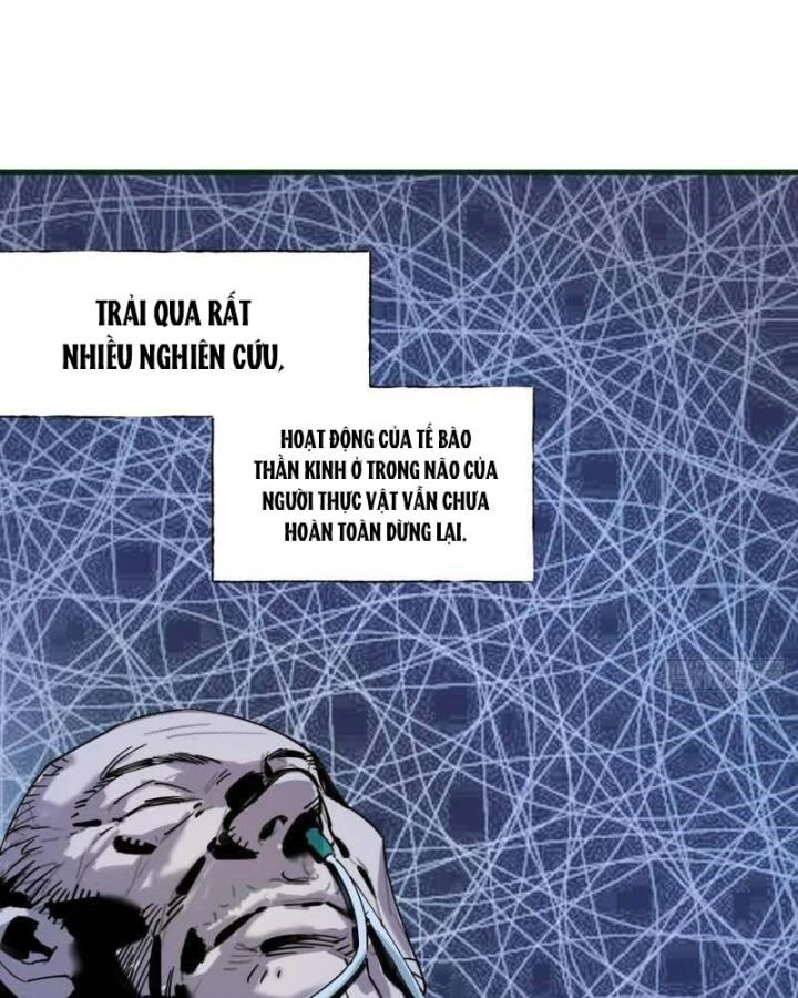 Ác Mộng Bắt Đầu Chapter 8 - Trang 2