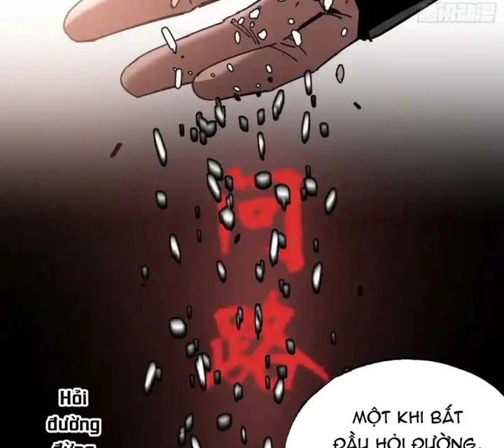 Ác Mộng Bắt Đầu Chapter 33 - Next Chapter 34