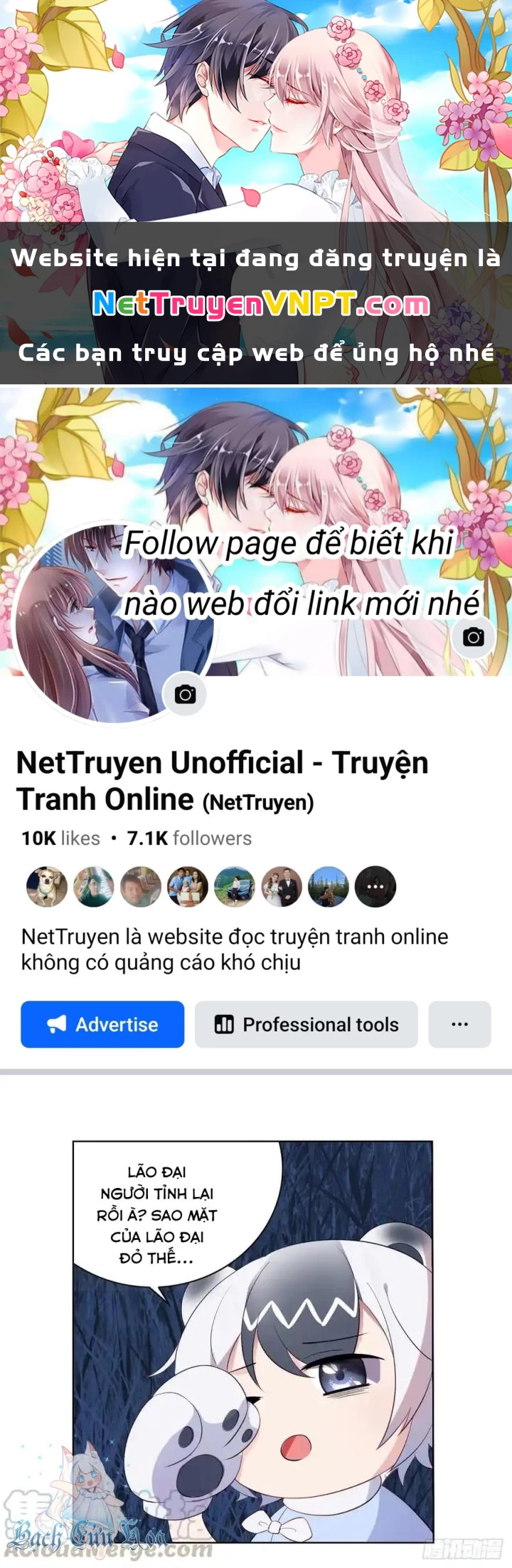 Như Loan Chapter 17 - Trang 3