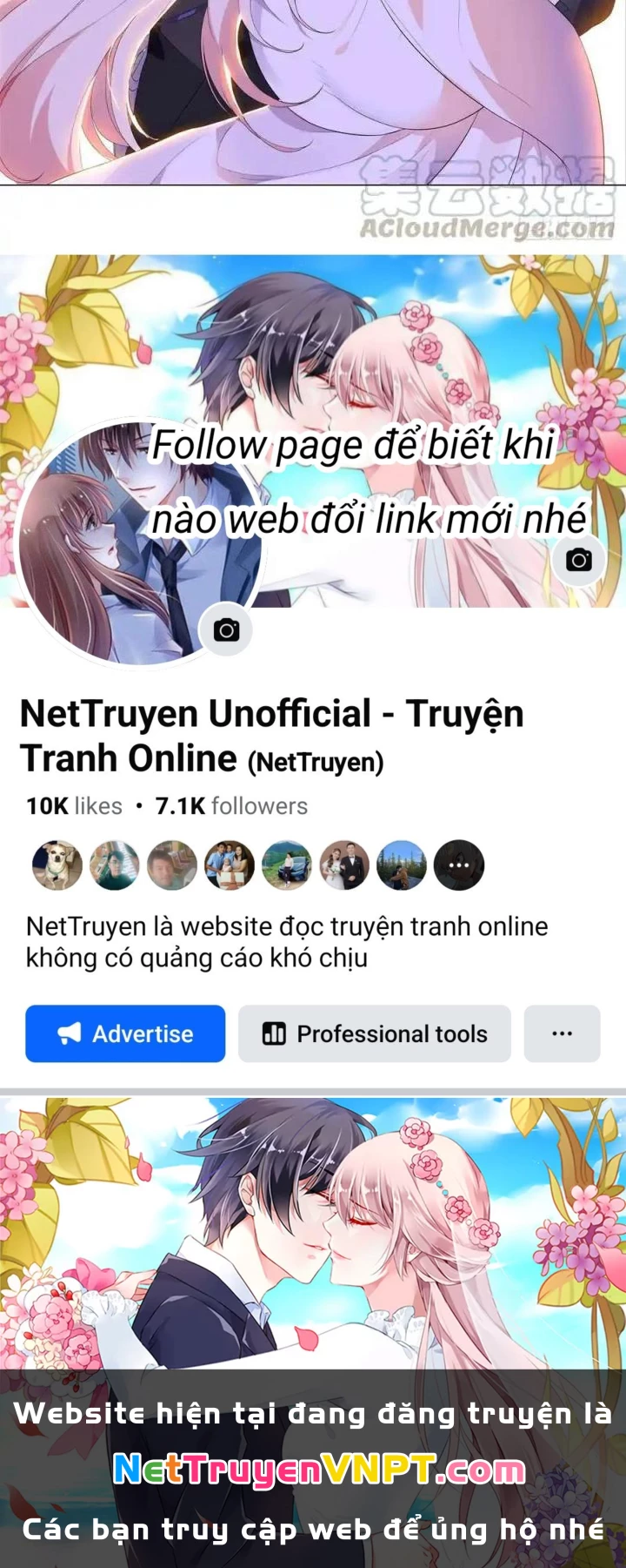 Như Loan Chapter 39 - Next Chapter 40