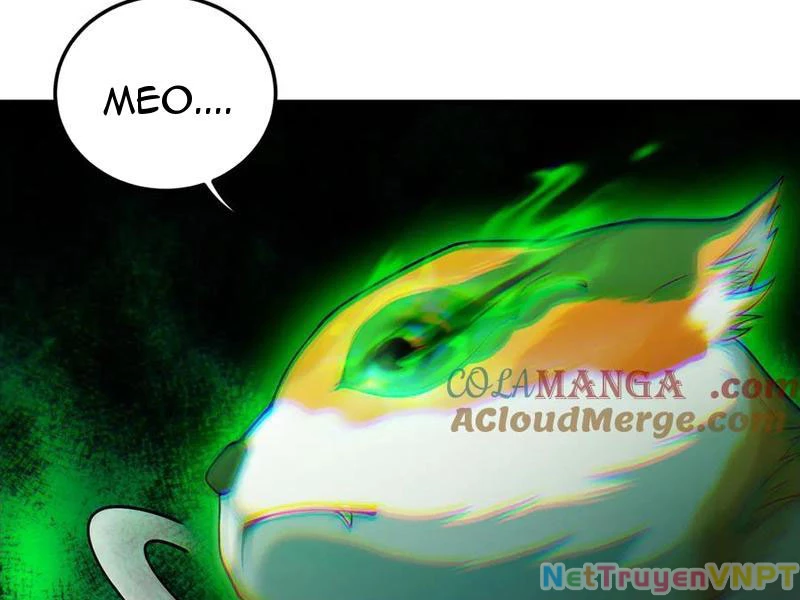 Giết Ta Thêm Vài Lần Nữa, Ta Liền Trở Thành Vô Địch! Chapter 67 - Trang 4