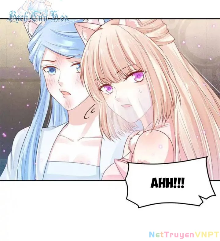Hồ Ly Tinh Của Trẫm Chapter 91 - Next 