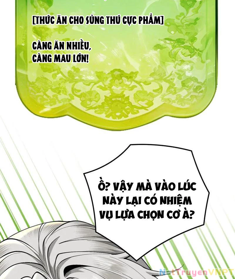 Gặp Mạnh Thì Mạnh, Ta Tu Vi Vô Thượng Hạn Chapter 36 - Trang 2