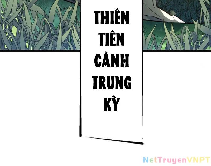Đỉnh Cấp Khí Vận, Lặng Lẽ Tu Luyện Ngàn Năm Chapter 213 - Trang 2