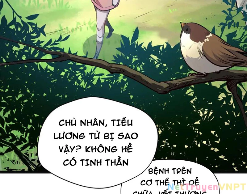 Đỉnh Cấp Khí Vận, Lặng Lẽ Tu Luyện Ngàn Năm Chapter 213 - Trang 2