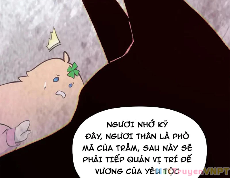 Đỉnh Cấp Khí Vận, Lặng Lẽ Tu Luyện Ngàn Năm Chapter 213 - Trang 2