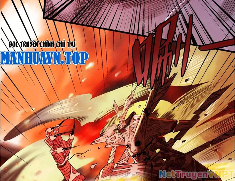 Gặp Mạnh Thì Mạnh, Ta Tu Vi Vô Thượng Hạn Chapter 37 - Trang 2