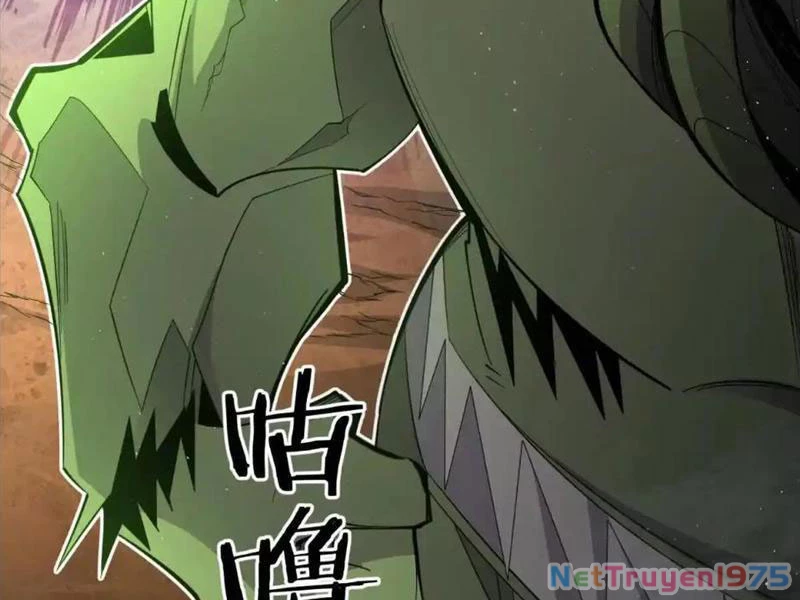 Ta Thành Vương Giả Từ Khắc Kim Chapter 27 - Next Chapter 28
