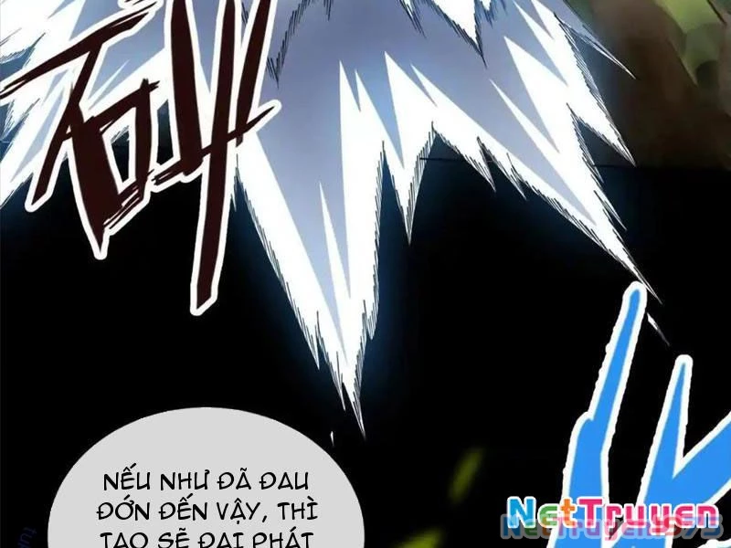 Ta Thành Vương Giả Từ Khắc Kim Chapter 27 - Next Chapter 28