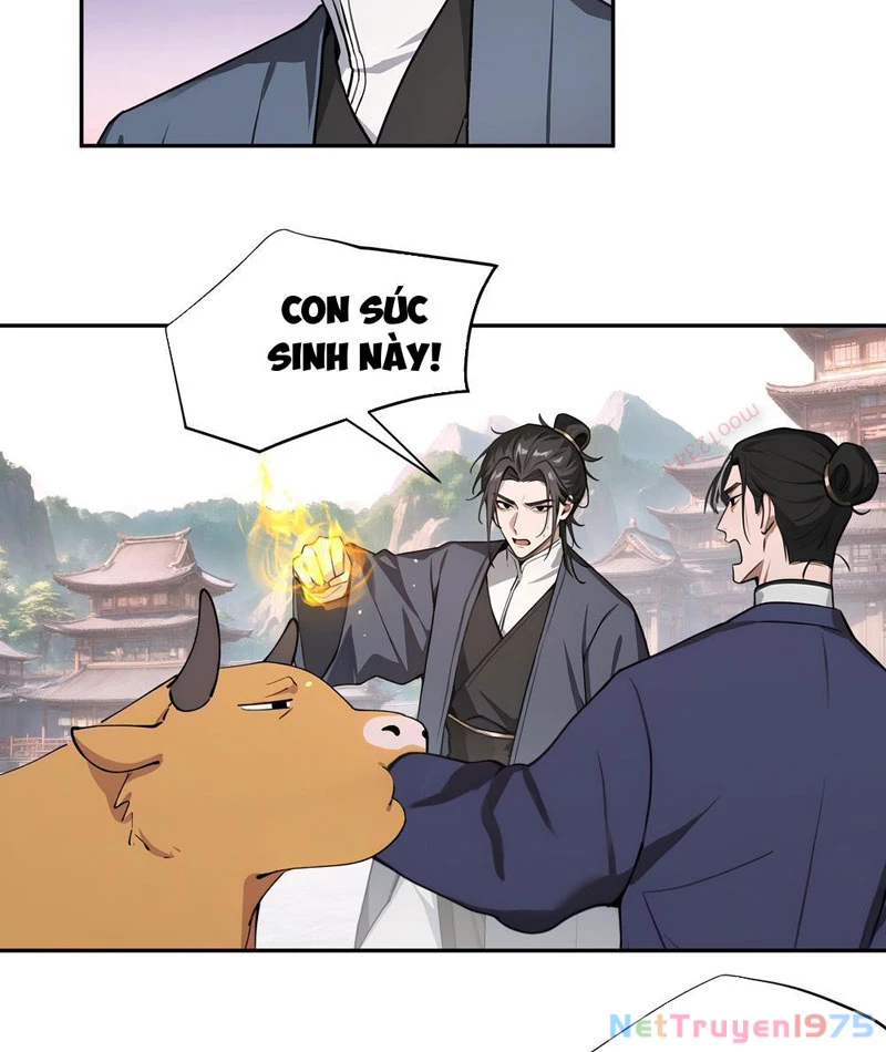 Bách Thê Phổ: Thánh nữ đều gọi ta là phu quân Chapter 50 - Trang 2