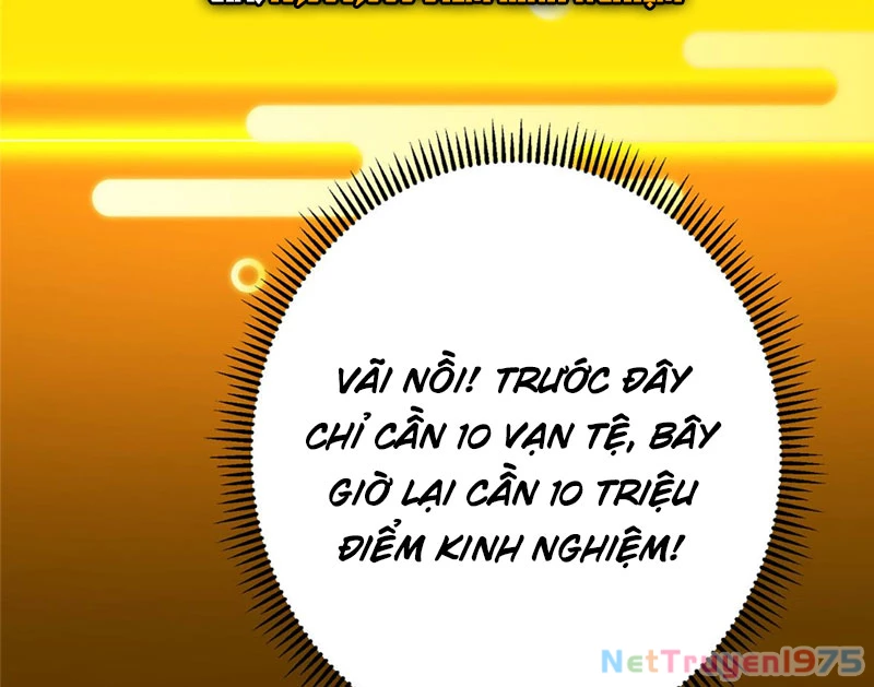 Chưởng Môn Khiêm Tốn Chút Chapter 493 - Trang 2