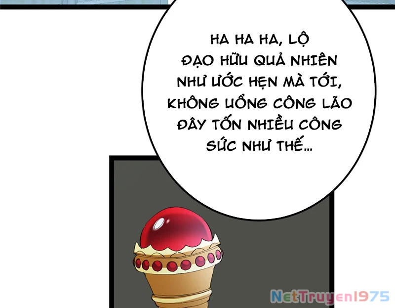 Chưởng Môn Khiêm Tốn Chút Chapter 493 - Trang 2