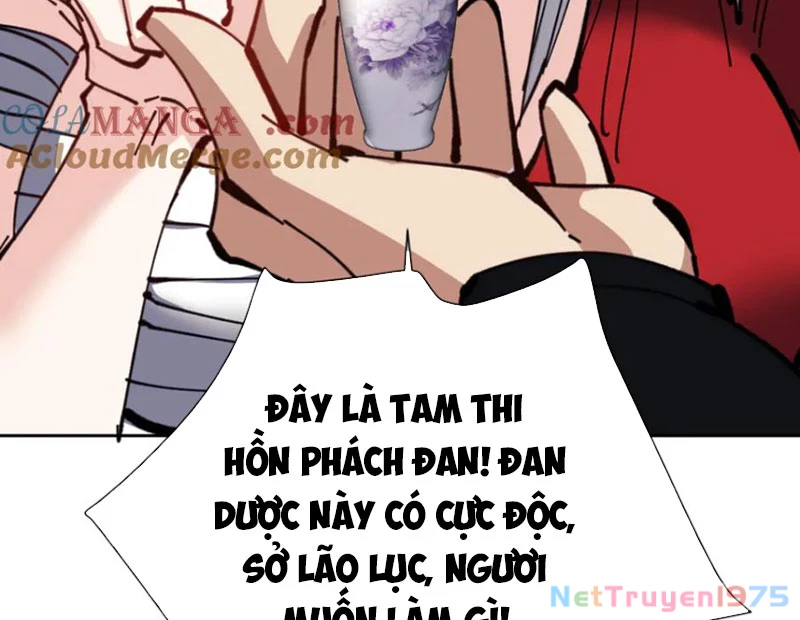Sư Tôn: Nghịch Đồ Này Mới Không Phải Là Thánh Tử Chapter 127 - Next Chapter 128