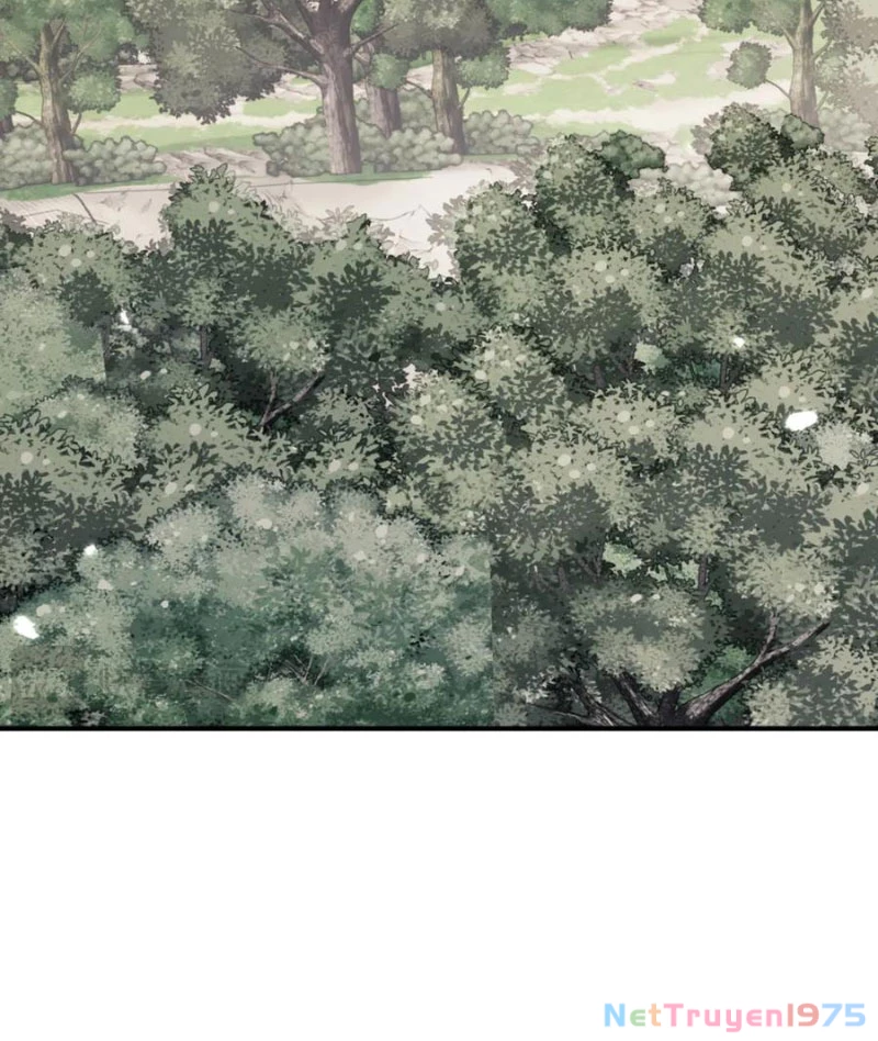 Sư Tôn: Nghịch Đồ Này Mới Không Phải Là Thánh Tử Chapter 128 - Next 