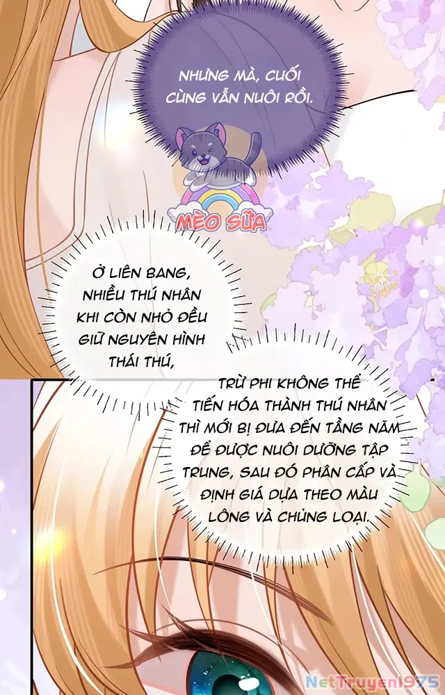 Thưa Ngài, Đuôi Của Ngài Không Giấu Được Nữa Rồi Chapter 19 - Trang 2