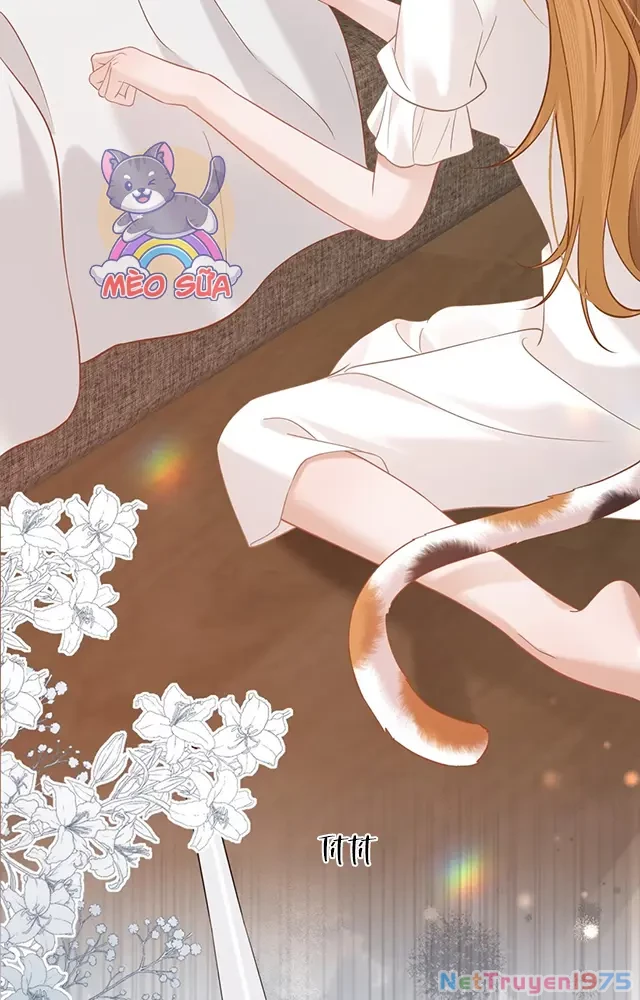 Thưa Ngài, Đuôi Của Ngài Không Giấu Được Nữa Rồi Chapter 19 - Trang 2