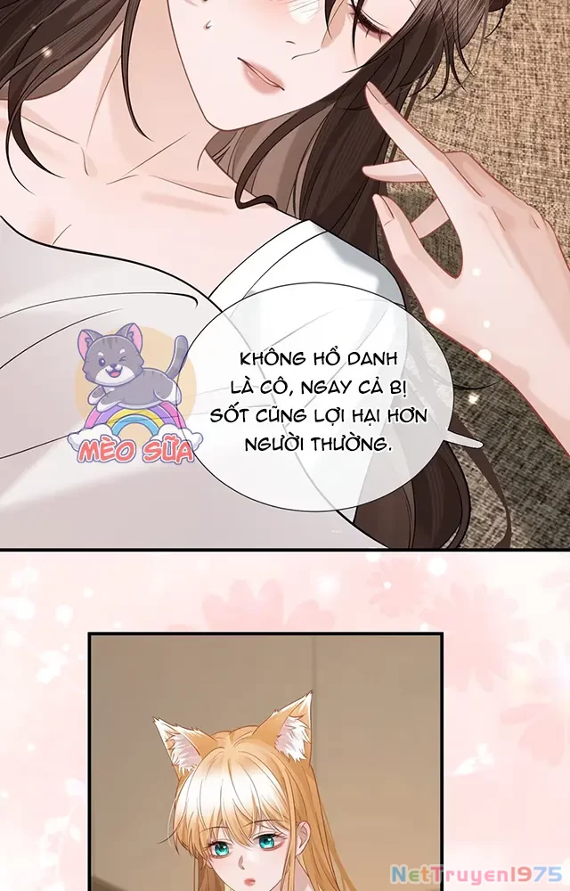 Thưa Ngài, Đuôi Của Ngài Không Giấu Được Nữa Rồi Chapter 20 - Trang 2