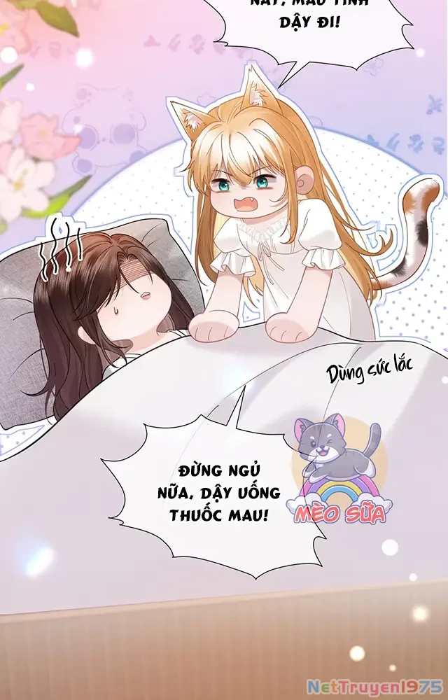 Thưa Ngài, Đuôi Của Ngài Không Giấu Được Nữa Rồi Chapter 20 - Trang 2
